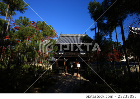 Autumn leaves of Genkoan Autumn leaves of Genkoan 25235853