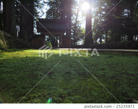 Tateyamatera 25235971