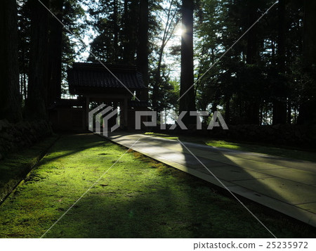 Tateyamatera 25235972