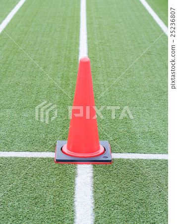 Artificial grass 25236807