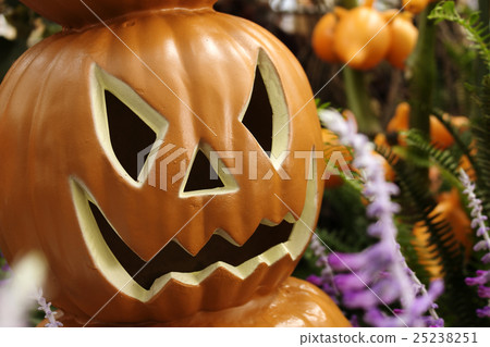 pumpkin pumpkin 25238251