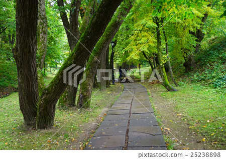 Road among trees to Polykovichskoy Krynica Road among trees to Polykovichskoy Krynica 25238898
