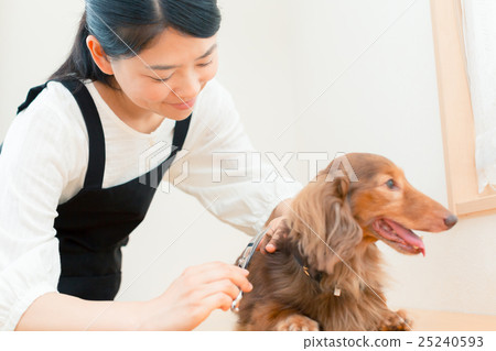 整頓者 毛孩 狗 25240593