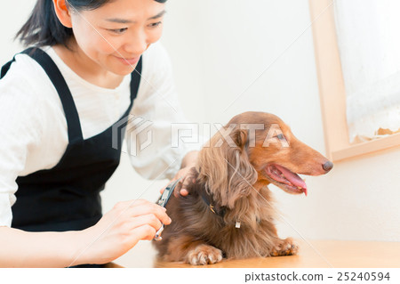 整頓者 毛孩 狗 25240594