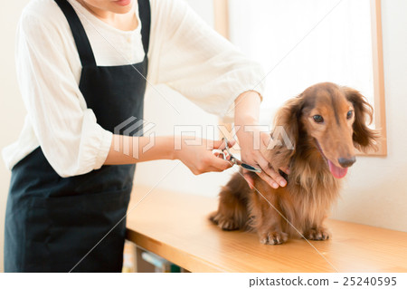 整頓者 毛孩 狗 25240595