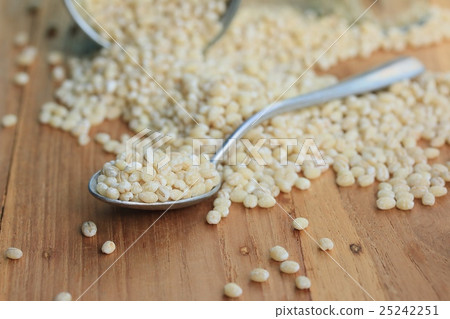 Barley seeds 25242251