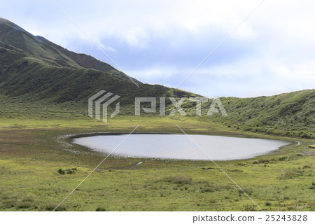 阿蘇草Sengahamahama 25243828