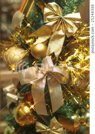 Christmas ornaments 25248388
