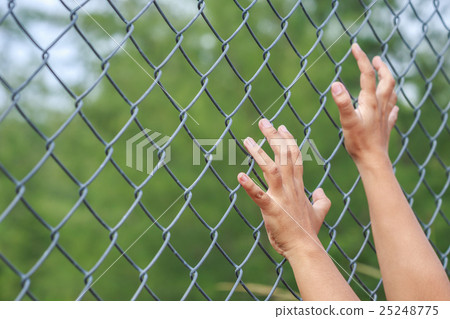 Hand hanging on metal chain link fence 25248775
