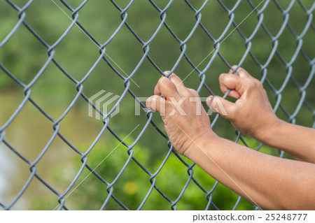 Hand hanging on metal chain link fence Hand hanging on metal chain link fence 25248777
