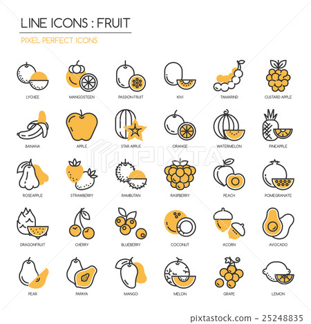 Fruit , thin line icons set ,pixel perfect icon 25248835