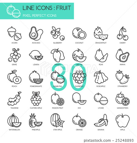 Fruit , thin line icons set ,pixel perfect icon 25248893
