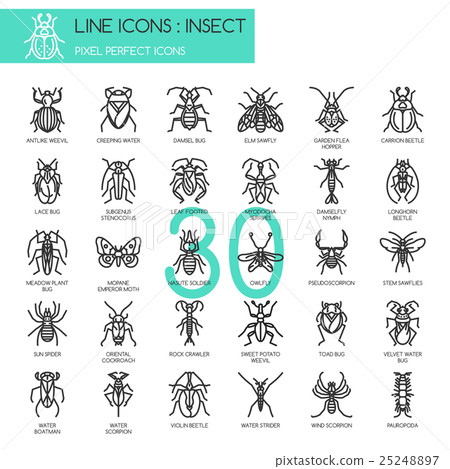 Insect , thin line icons set ,pixel perfect icon 25248897