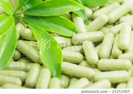 Schefflera leucantha herbal powder in the capsule Schefflera leucantha herbal powder in the capsule 25252987