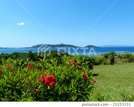 A view of Ishizaki from the Yara bay peninsula A view of Ishizaki from the Yara bay peninsula 25253151