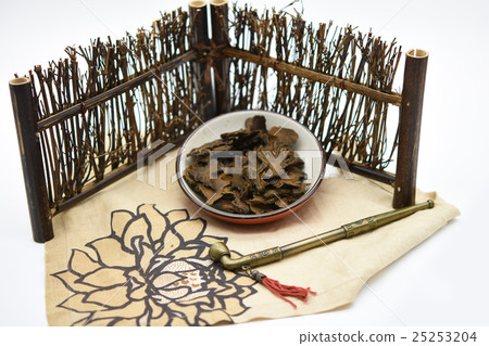 狗脊 狗脊 25253204