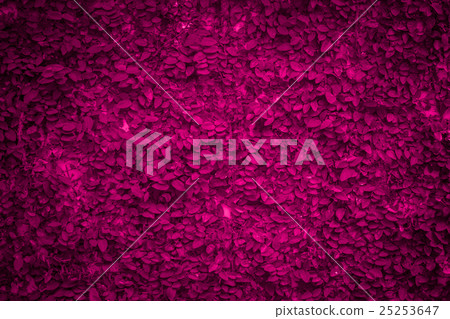 Pink Leaf Cover on wall for Nature Fantasy 25253647