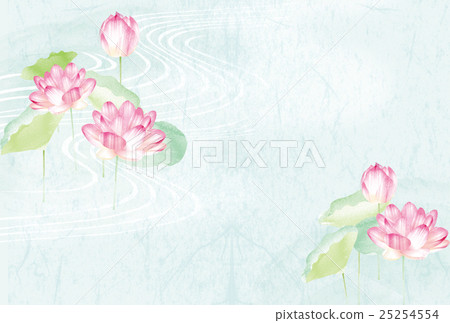 Lotus flower  25254554