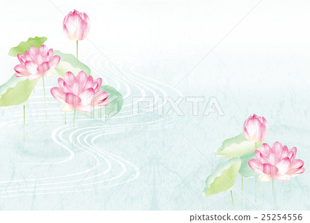 Lotus flower  25254556
