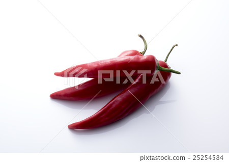紅色Shishinji辣椒 紅色Shishinji辣椒 25254584