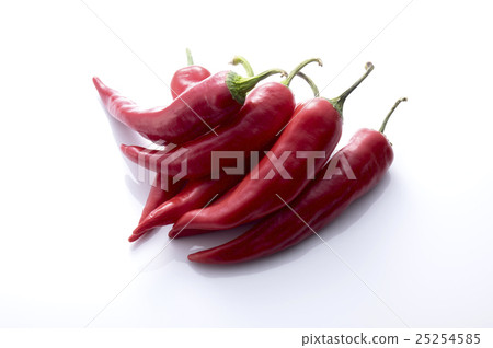 紅色Shishinji辣椒 紅色Shishinji辣椒 25254585