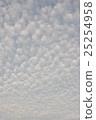 雲 25254958
