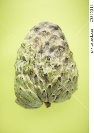 Atemoya Atemoya 25255318