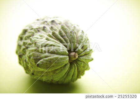 Atemoya Atemoya 25255320