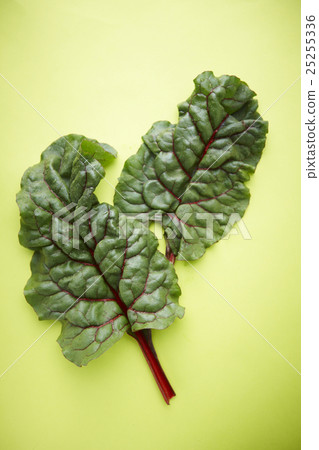 多葉蔬菜 多葉蔬菜 25255336