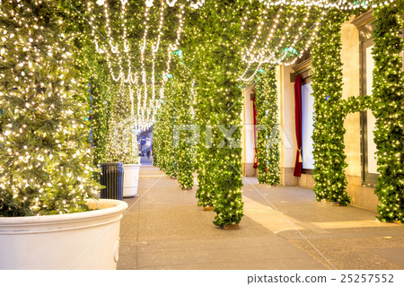 Christmas city decorations - christmas tree  25257552