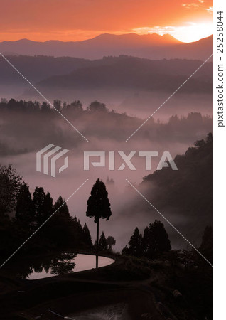 Morning glow and sea of clouds Morning glow and sea of clouds 25258044