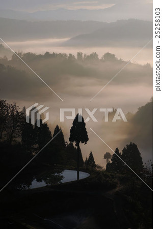 Yamakoshi of the sea of clouds 25258103