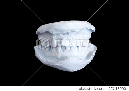 Dental examining, plaster dents model isolated 25258900