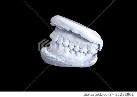 Dental examining, plaster dents model isolated Dental examining, plaster dents model isolated 25258901