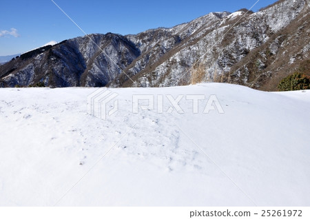 Tanzawa mountains of snow makeup and Mt. Fuji far away 25261972