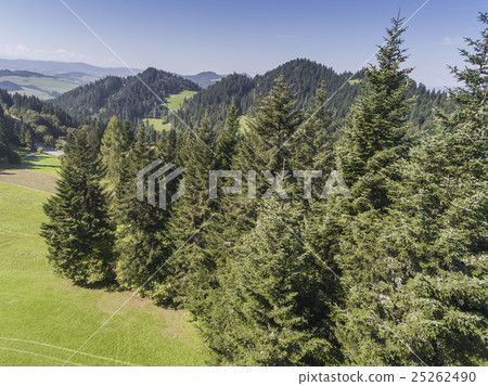 Panorama from Pieniny to Czorsztyn Lake and Tatra 25262490