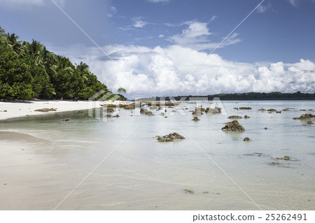 Havelock Island, Andaman Islands, India 25262491