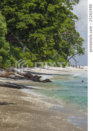 Havelock Island, Andaman Islands, India 25262498