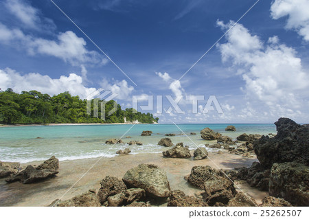 Havelock Island, Andaman Islands, India 25262507