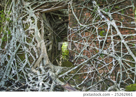 Ruin of abandoned building on Ross Island. India 25262661