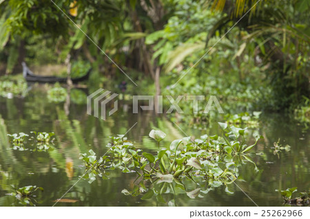 Unidentified indian people in small boat in backwa Unidentified indian people in small boat in backwa 25262966