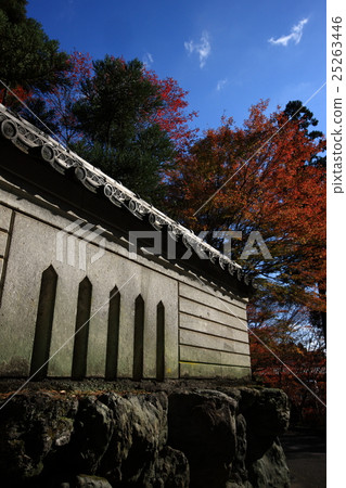 Autumn leaves of Shousan Garden Autumn leaves of Shousan Garden 25263446