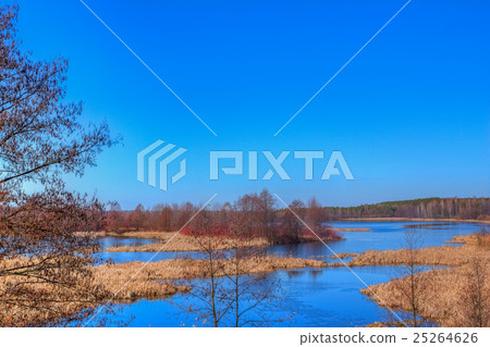 Landscape of nature with river and dry reed Landscape of nature with river and dry reed 25264626