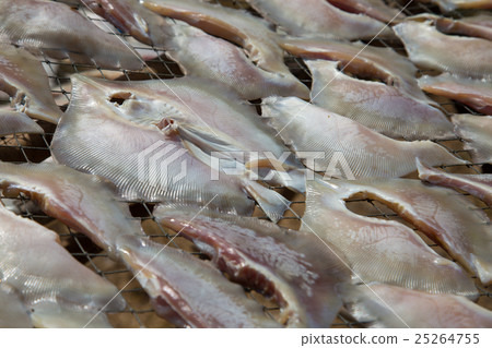 Dried ray fish 25264755
