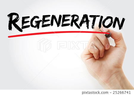 Hand writing Regeneration with marker Hand writing Regeneration with marker 25266741
