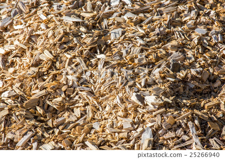 Wood chips for a biomass combustion 25266940