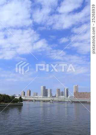 Sunshine of the sun Sunshine of the sun 25268939