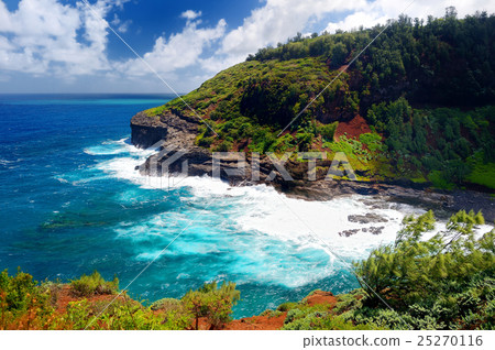 Kilauea lighthouse bay on a sunny day in Kauai 25270116
