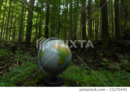Globe / Forest / eco 25270440