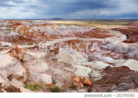 Petrified wood in the Petrified Forest, Arizona 25270593